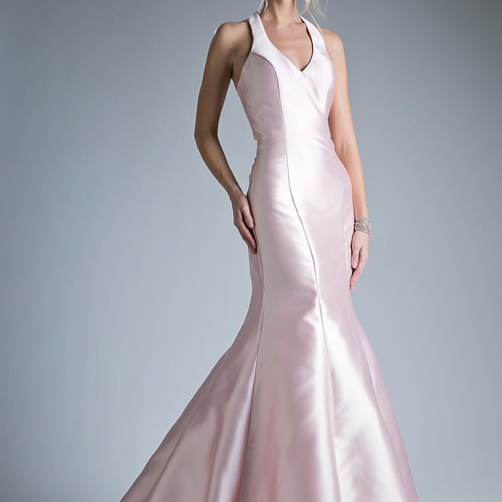 N/A V-Neck Mermaid Shape Long Evening Dress CD13038